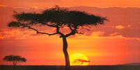 paisaje-africano-arbol-en-kenia-sabana-al-atardecer-panoramico-paisaje-africano-arbol-en-kenia-sabana-al-atardecer-panoramico-pi